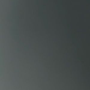 Meet your Posher, Rylee